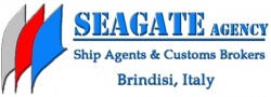 Seagate sas